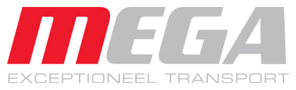 MegaGroup